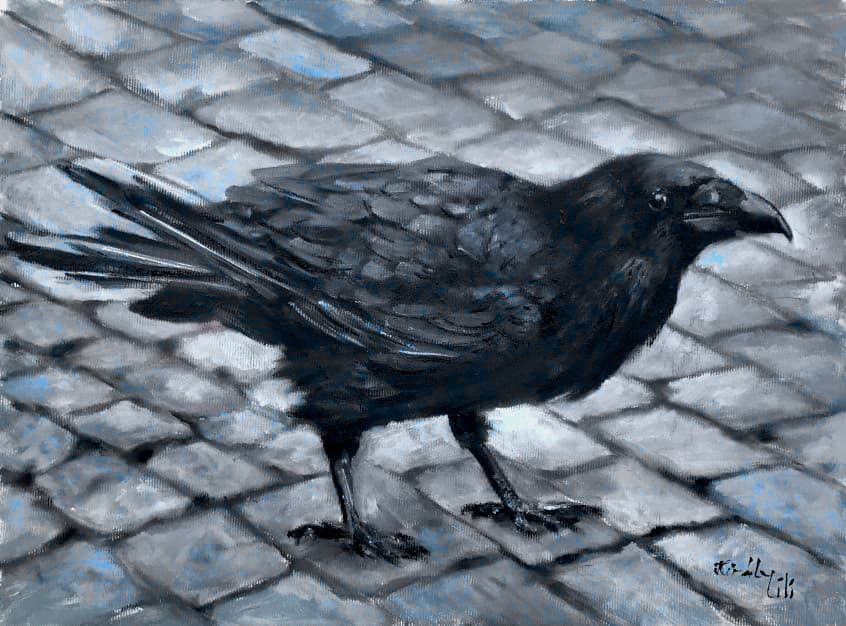 Belvárosi varjúfiú