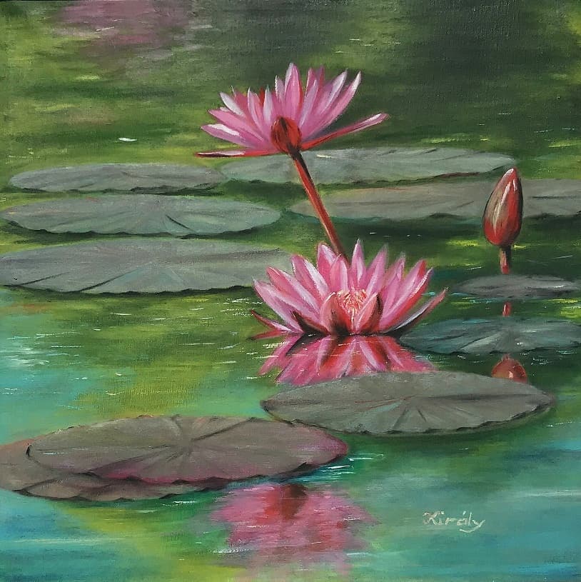 Water Lily