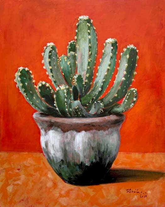 Kaktusz régi cserépben