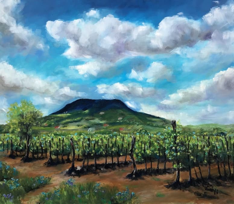 Balatoni szőlőtőkék